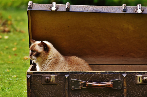 Shelters